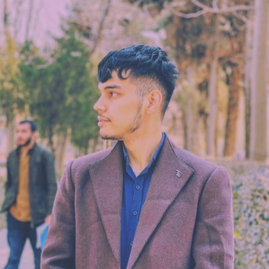 Reza Mohammad - Anglais tutor