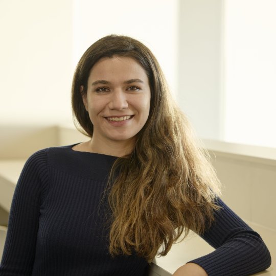 Subasi Hatice - Coréen, Anglais, Turc tutor