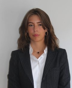 Castille - Science politique tutor