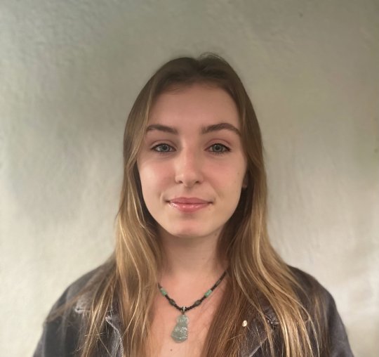 Knox Phoenix - Anglais, Mathématiques tutor