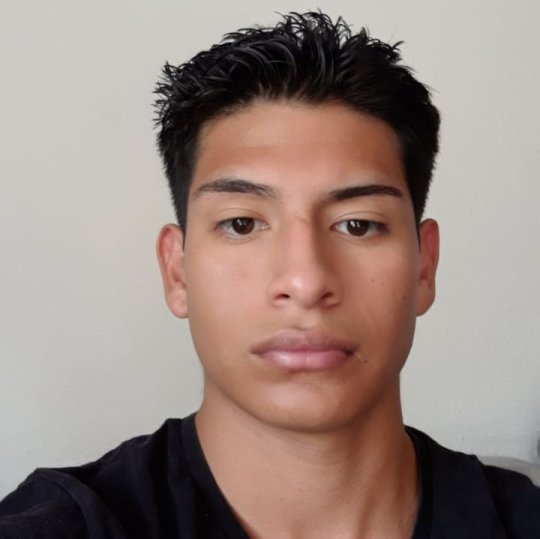 Rocabado Javier - Mathématiques, Physique, Chimie, Science tutor