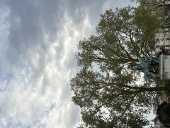 Fatima - Anglais tutor