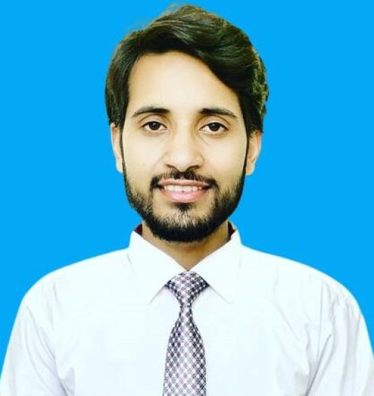 Raza Ali - Mathématiques, Anglais, Physique tutor