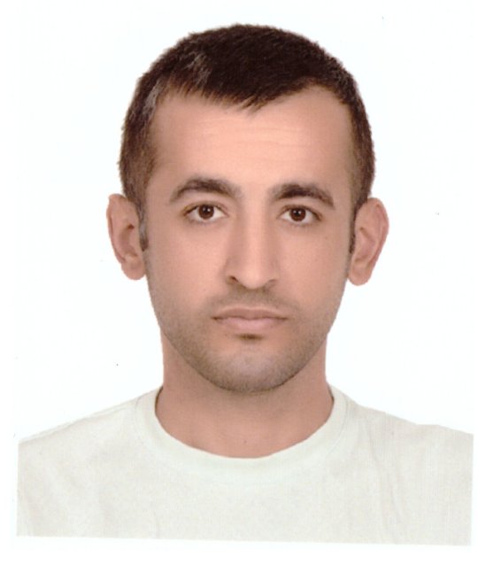 Ozturk Demhar - Anglais, Art tutor
