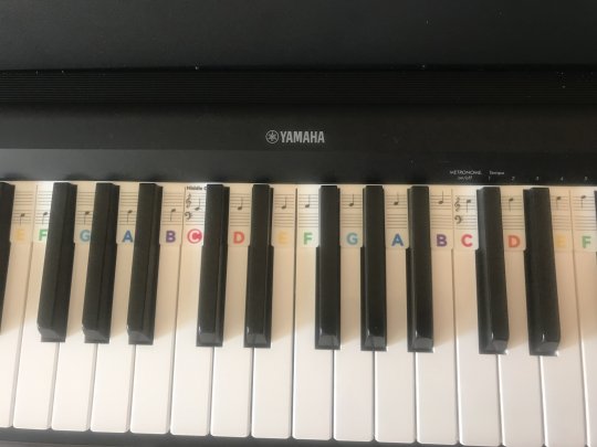 brown Millie - Piano, Théorie de la musique tutor